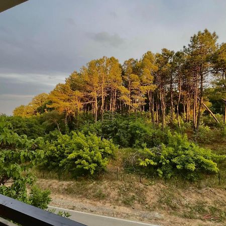 One Bedroom Apartment In G Life Szozopol Kültér fotó